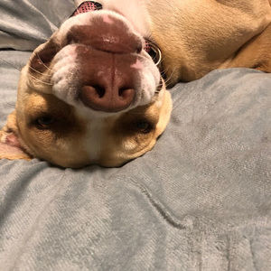 Meet your Posher, Nancy